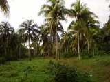 Retreat, St. Mary, Jamaica - Residential lot for Sale